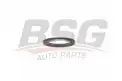 BSG 30116122 Krank Keçesi Ön