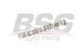 BSG 25108002 Eksantrik Mili