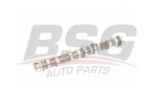 BSG 25108002 Eksantrik Mili