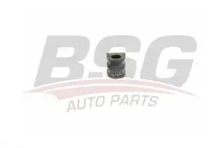 BSG 75705037 Viraj Demir Lastiği Ön