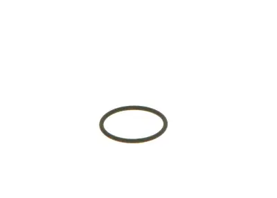 BOSCH F00VC38002 O-Ring - 14. Görsel