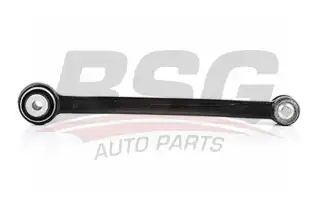 BSG 60310043 Salıncak Arka