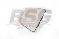 BSG 30910038 Ayna Camı Sağ