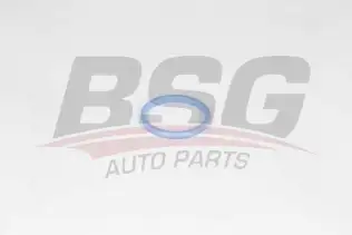BSG 30116034 Emme Manifold Boğaz Lastiği
