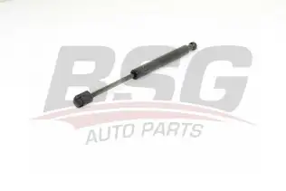 BSG 15980014 Motor Kaput Amortisörü