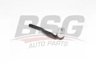 BSG 60310268 Rot Başı Sağ