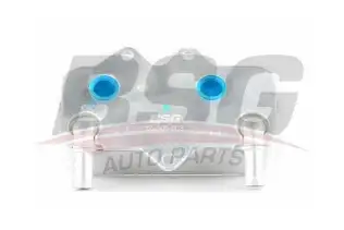 BSG 65506003 Yağ Soğutucusu