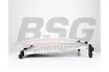BSG 90520028 Su Radyatörü