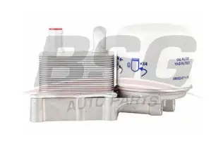 BSG 30506002 Yağ Soğutucu