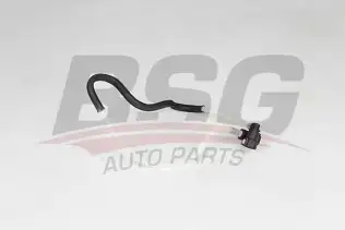 BSG 75725021 Yakıt Borusu