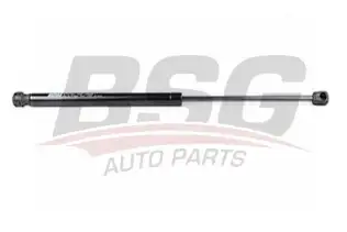 BSG 30980009 Bagaj Amortisörü