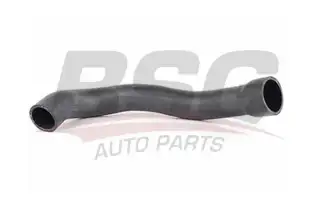 BSG 60720007 Turbo Hortumu