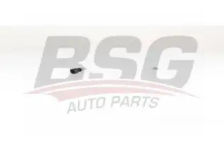 BSG 70725012 Yakıt Hortumu