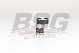 BSG 90615050 V Kayış Gergisi Komple