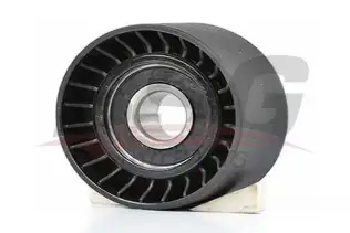 BSG 90615021 V Kayış Gergi Rulmanı