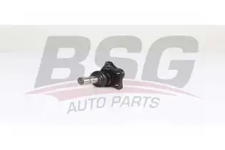 BSG 75310050 Rotil Alt