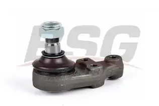BSG 30310089 Rotil Alt