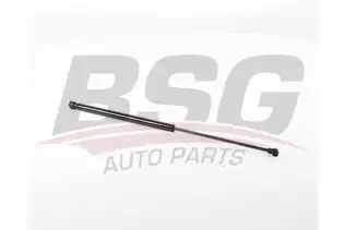 BSG 70980032 Bagaj Amortisörü