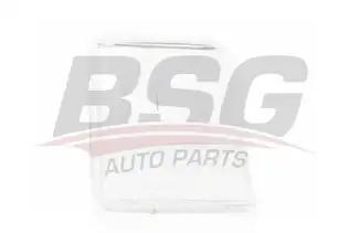 BSG 90801003 Far Camı Sağ