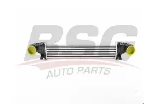BSG 60535021 Turbo Radyatörü