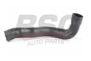 BSG 60720011 Turbo Hortumu