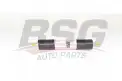 BSG 90130022 Yakıt Filtresi