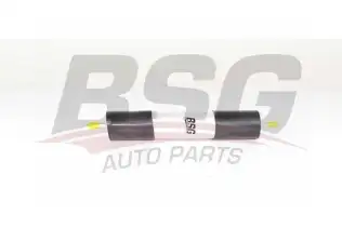 BSG 90130022 Yakıt Filtresi