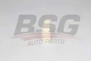BSG 90700187 Amortisör Lastiği Arka
