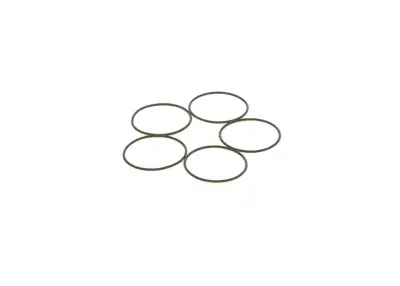 BOSCH 1410210053 O-Ring - 6. Görsel