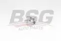 BSG 90101006 Yağ Pompası