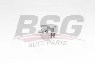 BSG 90101006 Yağ Pompası
