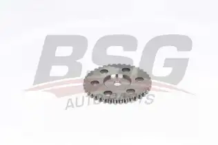 BSG 30109026 Eksantrik Dişlisi