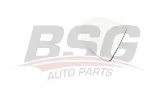 BSG 90910045 Ayna Camı Sağ