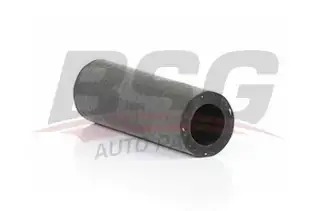 BSG 65720058 Termostat Hortumu