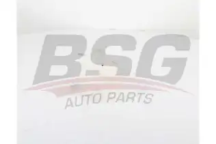 BSG 65550015 Radyatör Yedek Su Deposu