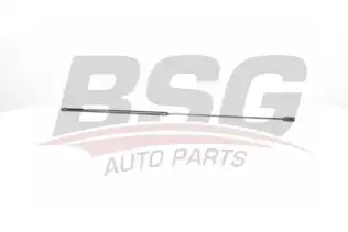 BSG 65980033 Motor Kaput Amortisörü
