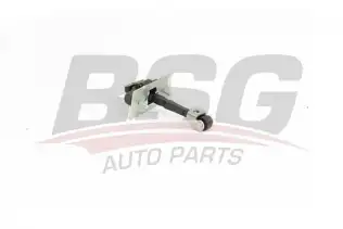 BSG 70975048 Kapı Gergisi Ön