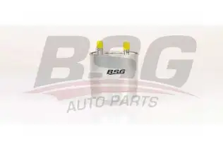 BSG 75130003 Yakıt Filtresi