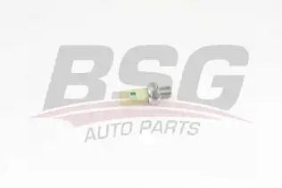 BSG 75840001 Yağ Basınç Müşürü