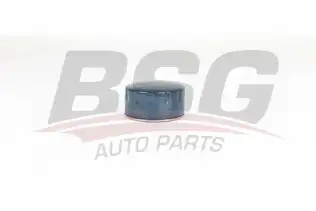 BSG 75140004 Yağ Filtresi