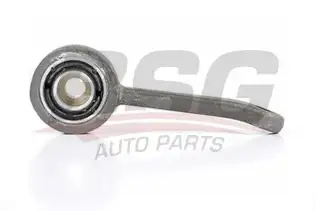 BSG 60310186 Viraj Askı Rotu Ön Sağ