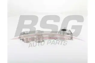 BSG 65101003 Yağ Pompası