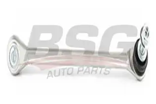 BSG 60310187 Viraj Askı Rotu Ön Sağ