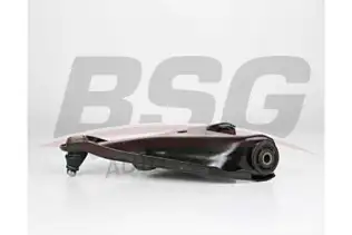 BSG 75315005 Salıncak Ön Sağ