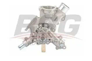 BSG 65500010 Devirdaim