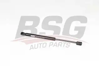 BSG 90980059 Kaput Amortisörü