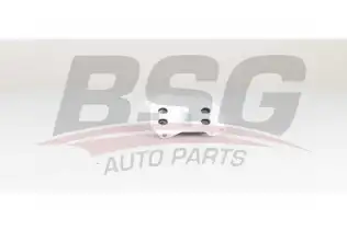 BSG 15506025 Yağ Radyatörü