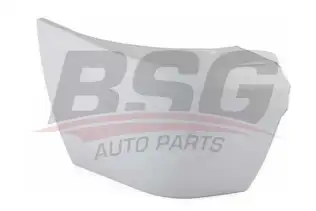 BSG 30920010 Tampon Kösesı Arka Sol