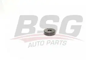 BSG 60615021 V Kayış Gergi Rulmanı