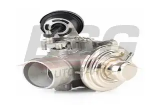BSG 90836007 Egr Valfi